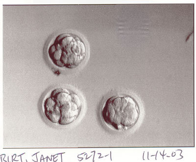 Initial embryos